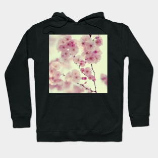 Mademoiselle Hoodie